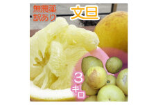 訳あり 文旦 ３キロ 3kg 農薬不使用 熟成 柑橘 みかん 果物 果実 サイズ混合 不揃い ぶんたん ブンタン ザボン おやつ デザート 甘い 美味しい  高知 土佐名物 フルーツ【R00898】
