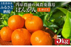 【令和８年発送】内原農園の減農薬栽培 ぽんかん（Lサイズ）5キロ 贈答用 みかん 蜜柑 ミカン 柑橘 かんきつ ポンカン フルーツ オレンジ 果物 くだもの 果汁 甘い ジューシー 土佐清水市【R01097】