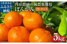 【令和８年発送】内原農園の減農薬栽培 ぽんかん（2Lサイズ）5キロ 贈答用 みかん 蜜柑 ミカン 柑橘 かんきつ ポンカン フルーツ オレンジ 果物 くだもの 果汁 甘い ジューシー 土佐清水市【R01098】