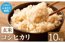 令和6年産新米 コシヒカリ玄米【先行予約/令和6年8月発送予定】10kg 10キロ お米 新米 玄米 健康食品 おこめ 米 こめ ごはん 飯 こしひかり ブランド米 おいしい【R01035】