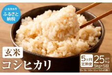 令和6年産新米 コシヒカリ玄米【先行予約/令和6年8月発送予定】定期便 5kg×5回 25kg 25キロ お米 新米 玄米 健康食品 おこめ 米 こめ ごはん こしひかり ブランド米【J00082】