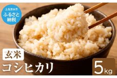 令和6年産新米 コシヒカリ玄米【先行予約/令和6年8月発送予定】5kg 5キロ お米 新米 玄米 健康食品 おこめ 米 こめ ごはん 飯 こしひかり ブランド米 おいしい【R01034】