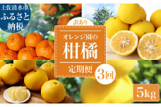 【令和８年発送　 訳あり】 オレンジ園の柑橘3種（ぽんかん・文旦・小夏）各5kg 3回定期便 ポンカン ぶんたん こなつ 果物 蜜柑 みかん ミカン 柑橘 フルーツ デザート 国産 常温 配送【J00102】