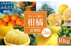 【令和８年発送】 オレンジ園の柑橘3種（ぽんかん・文旦・小夏）各10kg 3回定期便 ポンカン ぶんたん こなつ 果物 蜜柑 みかん ミカン 柑橘 フルーツ デザート 国産 常温 配送【J00105】