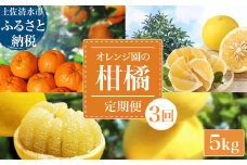 【令和８年発送】 オレンジ園の柑橘3種（ぽんかん・文旦・小夏）各5kg 3回定期便 ポンカン ぶんたん こなつ 果物 蜜柑 みかん ミカン 柑橘 フルーツ デザート 国産 常温 配送【J00104】