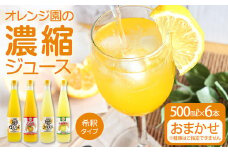 オレンジ園の濃縮ジュース 500ml おまかせ6本入り 希釈用 みかんジュース チューハイ用 ドリンク ジュース 柑橘類 蜜柑 みかん【R01122】