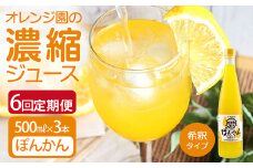 オレンジ園の濃縮ジュース ぽんかん 500ml 3本 6回定期便 希釈用 みかんジュース チューハイ用 ドリンク ジュース 柑橘類 蜜柑 みかん【J00112】