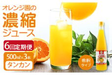 オレンジ園の濃縮ジュース タンカン 500ml 3本 6回定期便 希釈用 みかんジュース チューハイ用 ドリンク ジュース 柑橘類 蜜柑 みかん【J00113】