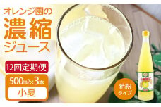 オレンジ園の濃縮ジュース 小夏 500ml 3本 12回定期便 希釈用 みかんジュース チューハイ用 ドリンク ジュース 柑橘類 蜜柑 みかん【J00121】
