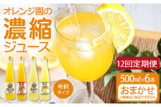 オレンジ園の濃縮ジュース 500ml おまかせ6本入り 12回定期便 希釈用 みかんジュース チューハイ用 ドリンク ジュース 柑橘類 蜜柑 みかん【J00123】