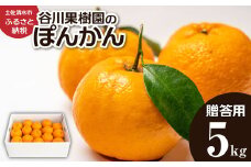 【令和8年発送】ぽんかん5kg（谷川果樹園）デコポンの親  みかん 蜜柑 ミカン 不知火 しらぬい 柑橘 かんきつ ポンカン フルーツ オレンジ 果物 くだもの 果汁 甘い【R01143】