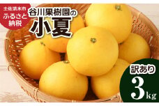 【令和8年4月発送】<訳あり> 谷川果樹園の小夏3kg 日向夏 みかん 柑橘 フルーツ こなつ ニューサマーオレンジ 果物 美味しい ワケあり 訳 自宅用 おやつ 高知 【R01146】