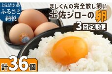 土佐ジローの卵 定期便（12個入り×3回）もみ殻梱包 ブランド卵 タマゴ たまご 卵 毎月 定期コース 土佐ジロー 卵焼き 卵かけごはん 卵料理 送料無料 お取り寄せ【J00143】