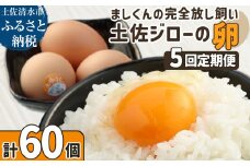 土佐ジローの卵 定期便（12個入り×5回）もみ殻梱包 ブランド卵 タマゴ たまご 卵 毎月 定期コース 土佐ジロー 卵焼き 卵かけごはん 卵料理 送料無料 お取り寄せ【J00132】