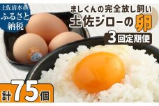 土佐ジローの卵 定期便（25個入り×3回）もみ殻梱包 ブランド卵 タマゴ たまご 卵 毎月 定期コース 土佐ジロー 卵焼き 卵かけごはん 卵料理 送料無料 お取り寄せ【J00144】