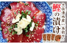 土佐清水産・一本釣り 鰹の漬け（100g×4袋）カツオ かつお 漬け丼 海鮮丼 鰹丼 魚介 どんぶり おかず 惣菜 おつまみ 新鮮 簡単 個包装 小分け のせるだけ お取り寄せ【R01203】