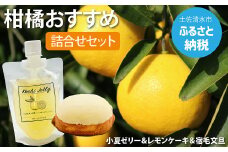先行予約 期間限定 柑橘デザート詰合せ（kochi Jelly・マツシタのレモンケーキ・宿毛文旦）柑橘 フルーツ ぶんたん ブンタン 果物 くだもの ゼリー ケーキ デザート スイーツ【R00876】