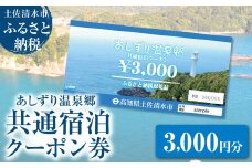 あしずり温泉郷 共通宿泊クーポン券 3,000円分 あしずり温泉郷 旅行券 トラベル ペア 家族 温泉 ホテル 観光 旅行 国内旅行 宿泊 宿泊施設 自然 旅館 高知県 土佐清水市【R01313】