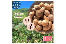 とびきり美味しい！ 自然農育ち 里芋 1kg 軽洗 皮まで食べられる 軽洗い さといも サトイモ 里いも 皮つき 無農薬野菜 野菜 芋煮 煮物 コロッケ 具材【R01344】