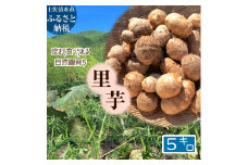 とびきり美味しい！ 自然農育ち 里芋 5kg 軽洗 皮まで食べられる 軽洗い さといも サトイモ 里いも 皮つき 無農薬野菜 野菜 芋煮 煮物 コロッケ 具材【R01345】