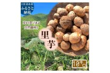 とびきり美味しい！ 自然農育ち 里芋 10kg 軽洗 皮まで食べられる 軽洗い さといも サトイモ 里いも 皮つき 無農薬野菜 野菜 芋煮 煮物 コロッケ 具材【R01346】