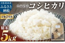 令和7年産 新米 コシヒカリ 精米 10kg 白米 お米 ご飯 ごはん おにぎり 米 こめ こしひかり 高知県産 美味しい おいしい【R01518】