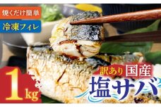 訳あり 塩サバ 1kg 約6枚 さば 国産 冷凍 鯖 味付き 大きい フィーレ 切り身 魚介 海鮮 魚 おかず お弁当 ご飯 食品 保存食 簡単【R01424】