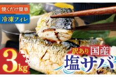 訳あり 塩サバ 3kg 約18枚 さば 国産 冷凍 鯖 味付き 大きい フィーレ 切り身 魚介 海鮮 魚 おかず お弁当 ご飯 食品 保存食 簡単 高知【R01426】