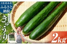 令和７年11月発送　きゅうり 2kg 2キロ キュウリ 野菜 新鮮 サラダ 漬物 浅漬け ぬか漬け 酢の物 炒め物 健康 高知県 土佐清水市 夏野菜【R01451】