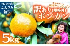 R8.1月下旬発送 規格外だけど規格外じゃない!? 訳あり 足摺ぽんかん 5kg デコポンの親 みかん 柑橘 果物 果実 ミカン  ポンカン フルーツ おやつ デザート 5キロ 美味しい 井村農園【R01485】