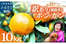 R8.1月下旬発送 規格外だけど規格外じゃない!? 訳あり 足摺ぽんかん 10kg デコポンの親 みかん 柑橘 果物 果実 ミカン  ポンカン フルーツ おやつ デザート 10キロ 美味しい 井村農園【R01486】