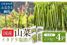 イタドリの塩漬け 250g×4パック 1kg 1キロ 山菜 いたどり 下処理済み 野菜 春の食材 虎杖 スカンポ イタズリ 炒め物 食品 お取り寄せ 真空 冷凍 配送【R01449】