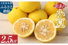 R8発送 先行予約【訳あり】オレンジ園の小夏2.5kg 日向夏 みかん 柑橘 フルーツ 果物 こなつ ﾆｭｰｻﾏｰｵﾚﾝｼﾞ 旬 2.5キロ 美味しい 食感 スッキリ 常温 国産 訳あり 高知県 土佐清水市【R01499】