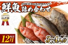 旬の朝獲れ鮮魚詰め合わせ 【2025年12月配送】 鮮魚 直送 ボックス 詰め合わせ【以布利定置網　漁師直送】セット おまかせ 魚介 海鮮 魚 魚介類 海鮮セット 新鮮 天然【S00818-12】