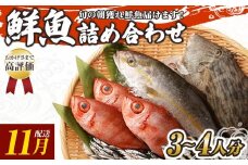 旬の朝獲れ鮮魚詰め合わせ 【2025年11月配送】 鮮魚 直送 ボックス 詰め合わせ【以布利定置網　漁師直送】セット おまかせ 魚介 海鮮 魚 魚介類 海鮮セット 新鮮 天然【S00818-11】