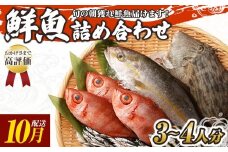 旬の朝獲れ鮮魚詰め合わせ 【2025年10月配送】 鮮魚 直送 ボックス 詰め合わせ【以布利定置網　漁師直送】セット おまかせ 魚介 海鮮 魚 魚介類 海鮮セット 新鮮 天然【S00818-10】