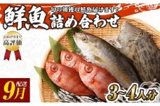旬の朝獲れ鮮魚詰め合わせ 9月配送 鮮魚 直送 ボックス 詰め合わせ【以布利定置網　漁師直送】セット おまかせ 魚介 海鮮 魚 魚介類 海鮮セット 新鮮 天然【S00818-9】