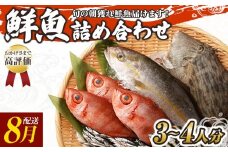旬の朝獲れ鮮魚詰め合わせ 8月配送 鮮魚 直送 ボックス 詰め合わせ【以布利定置網　漁師直送】セット おまかせ 魚介 海鮮 魚 魚介類 海鮮セット 新鮮 天然【S00818-8】