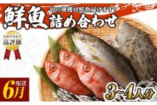 旬の朝獲れ鮮魚詰め合わせ 6月配送 鮮魚 直送 ボックス 詰め合わせ【以布利定置網　漁師直送】セット おまかせ 魚介 海鮮 魚 魚介類 海鮮セット 新鮮 天然【S00818-6】
