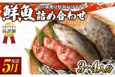 旬の朝獲れ鮮魚詰め合わせ 5月配送 鮮魚 直送 ボックス 詰め合わせ【以布利定置網　漁師直送】セット おまかせ 魚介 海鮮 魚 魚介類 海鮮セット 新鮮 天然【S00818-5】