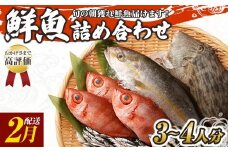 旬の朝獲れ鮮魚詰め合わせ 【2026年2月配送】鮮魚 直送 ボックス 詰め合わせ【以布利定置網　漁師直送】セット おまかせ 魚介 海鮮 魚 魚介類 海鮮セット 新鮮 天然【S00818-2】