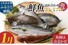 旬の朝獲れ鮮魚詰め合わせ（プレミアム）1月配送 鮮魚 ボックス 詰め合わせ【以布利定置網　漁師直送】朝獲れ 旬 魚介 海鮮 魚 さかな せんぎょ 鮮魚セット おまかせ お任せ【S00819-1】