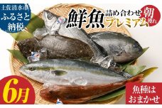 旬の朝獲れ鮮魚詰め合わせ（プレミアム）6月配送 鮮魚 ボックス 詰め合わせ【以布利定置網　漁師直送】朝獲れ 旬 魚介 海鮮 魚 さかな せんぎょ 鮮魚セット おまかせ お任せ【S00819-6】