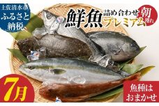 旬の朝獲れ鮮魚詰め合わせ（プレミアム）7月配送 鮮魚 ボックス 詰め合わせ【以布利定置網　漁師直送】朝獲れ 旬 魚介 海鮮 魚 さかな せんぎょ 鮮魚セット おまかせ お任せ【S00819-7】