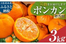 R8.1月下旬～発送 オレンジ園のぽんかん３kg  デコポンの親 みかん ミカン 果物 果実 3キロ 柑橘 フルーツ ポンカン おやつ デザート 甘い 美味しい 完熟 ギフト 贈答 名物 国産【R01498】