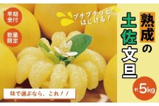 【早期受付・数量限定】熟成の土佐文旦5kg 家庭用 予約 先行 先行受付 早期 早期受付 数量限定 2026年配送 家庭用 5kg 大人気 リピーター 限定 国産 フルーツ 果物 旬 文旦 ぶんたん ブンタン 土佐文旦 柑橘 柑橘類 オススメ 四万十市 四万十 しまんと 高知県 高知 南国 土佐 四国 産地直送 農家直送 お取り寄せ 送料無料 【2026年2月下旬より発送】25-551