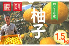 【※ご好評につき令和6年度は終了いたしました】24-1008．【早期受付・数量限定】特有のさわやかな香りがたまらない！四万十市産柚子(贈答用) 約1.5kg(9～14個)【2024年12月中旬～2025年2月上旬発送】