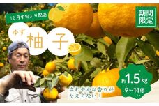 ゆず 約 1.5kg 9～14個 高知県産 四万十市産 贈答用 ギフト 【 早期受付 数量限定 】先行 予約 柚子 ユズ 柑橘 フルーツ 果物 酢みかん 高知県 高知 四万十市 四万十 しまんと お取り寄せ 【 2025年 12月中旬～ 2026年 1月下旬発送】25-1008