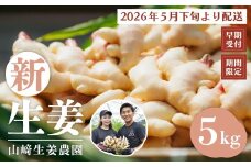 早期受付 期間限定 みずみずしさがたまらない 新生姜 約5kg【2026年5月下旬～9月上旬配送】高知県 高知 四万十市 四万十 しまんと 農作物 特産 しょうが 生姜 ショウガ 野菜 旬 新鮮 国産 先行 予約 ジンジャー 25-819