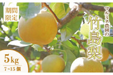 【 数量限定 早期受付 】マルミネ農園 の 竹島梨 5kg （7～15個） 国産 高知 四万十市 四万十 しまんと 梨 ナシ 幸水 豊水 凛花 なし 果物 くだもの 新鮮 農園 フルーツ デザート おやつ ジューシー 旬 産地直送 お取り寄せ 【2025年8月中旬～9月下旬発送】25-546